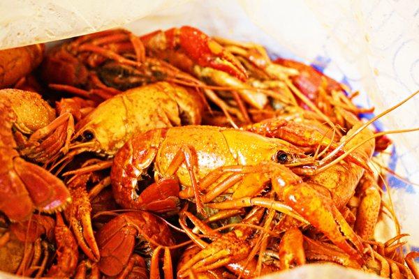 Louisiana Cajun Seafood