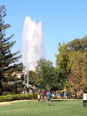 View from the park. I think a car hit a fire hydrant.