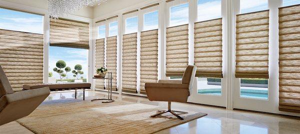 Top-Down / Bottom-Up (TDBU) Hunter Douglas Vignette Roman shades soften a space with versatility.  Available with motorization.