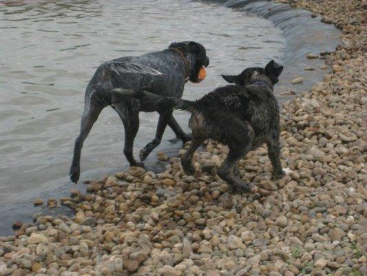 Friends can be made at this park