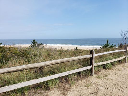 View from Herring Point