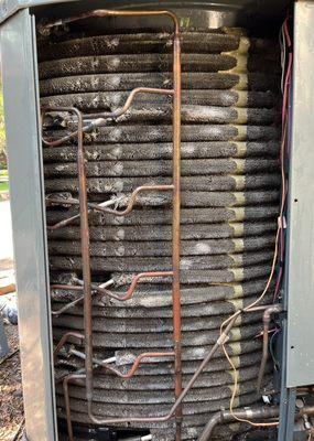 HVAC condenser coil cleaning.