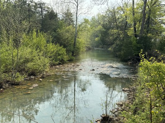 80 Acres Harvest Rd. Mena, AR