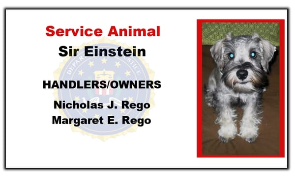 service animal tags emotional support animal tags www.emosdogtags.com cheap animal flights no apartment fee service dog