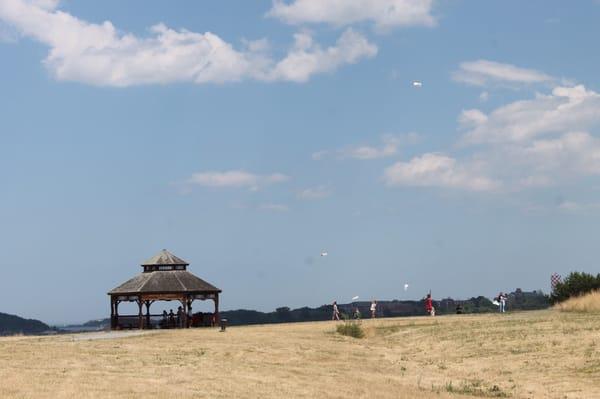 Pagoda, found during our hike through Spectacle Island.