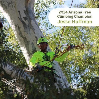 Arborvision Tree Service