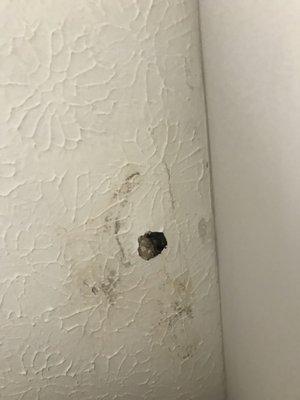 Hole in kitchen