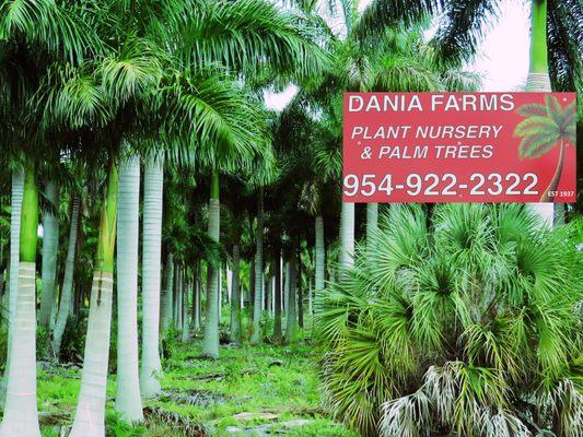 Dania Farms