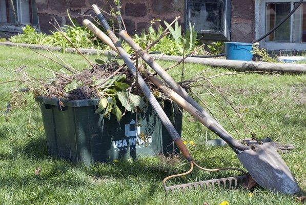 Yard Clean-up