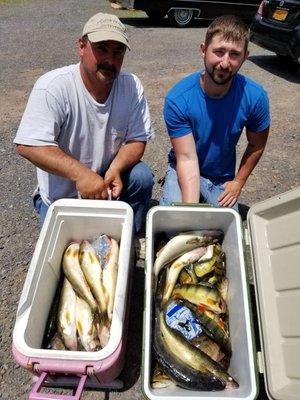 Full coolers of Walleye and Perch!