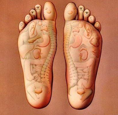 reflexology chart