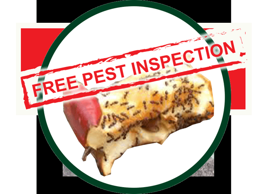 Call Today for a Free Pest Inspection.