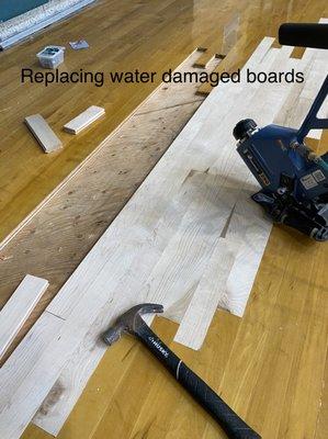 Laced-in new hardwood flooring to replace water damaged boards in gymnasium floor.