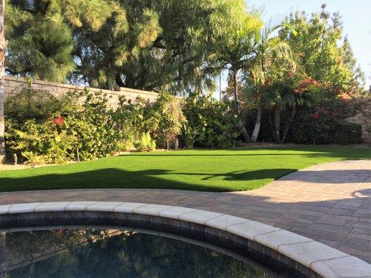 Purchase Green Artificial Grass