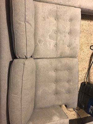 Oxiclean stained couch before!