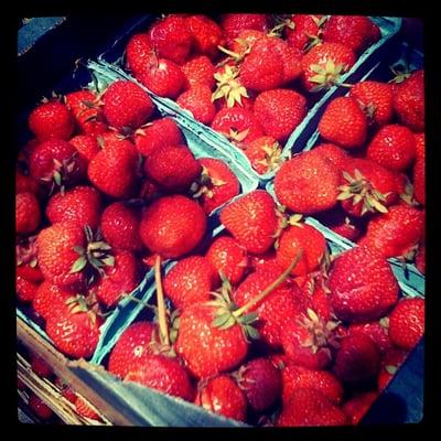 local strawberries