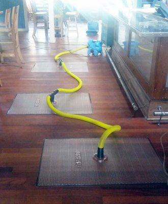 Wood floor drying system