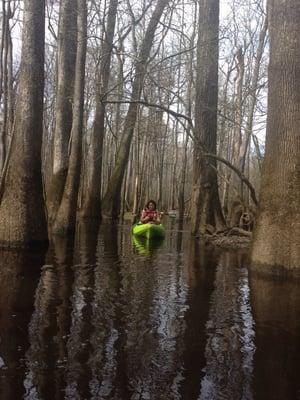 Using adventure Carolina kayaks in congaree national park