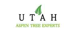 Aspen Tree Experts