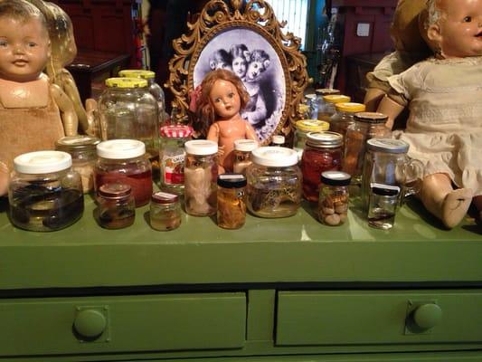 Preserved animals with creepy dolls