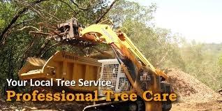 Cotner's Tree Services