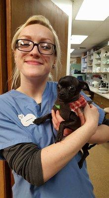 Our boarder Finn is getting extra love from our technician Kristin!