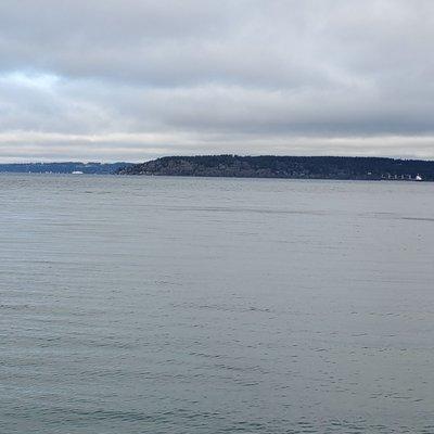 You can spot the Vashon Island ferry from the south side of the park.