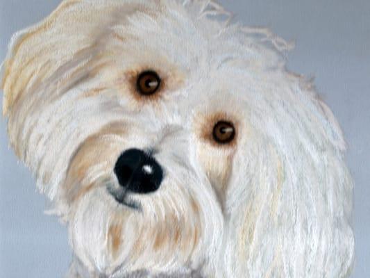 Original Pastel Pet Portraits