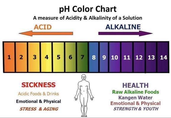 Alkaline ionized water helps to neutralize free radicals & maintain the body's proper pH, At the same time removing acidic waste!!