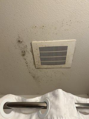 Mold on the ceiling in the bathroom above the shower around the vent that doesn't work