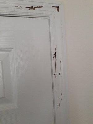 Subterranean Termite Damage