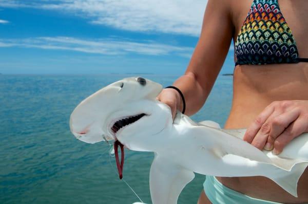 Shark fishing out of Key West.