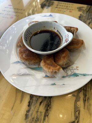 Fried dumplings appetizer