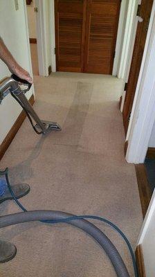 Carpet cleaning