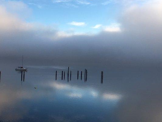 Check out dive site in Hoodsport, WA