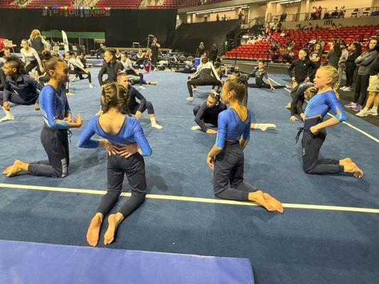 The Elite Gymnastics Academy