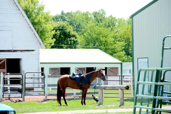 Between Barns