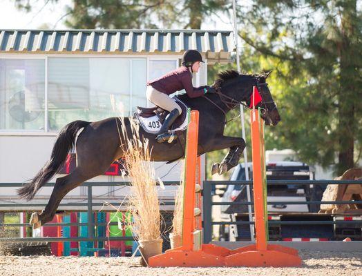 Me and Leya competing at Murieta Equestrian Center in 1.00 meter Jumper class.