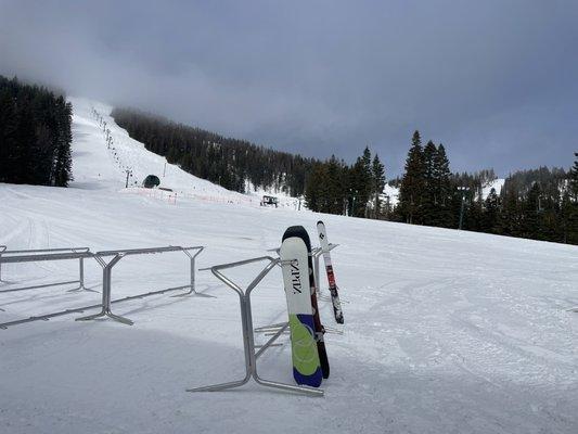 Federal holiday, open slopes