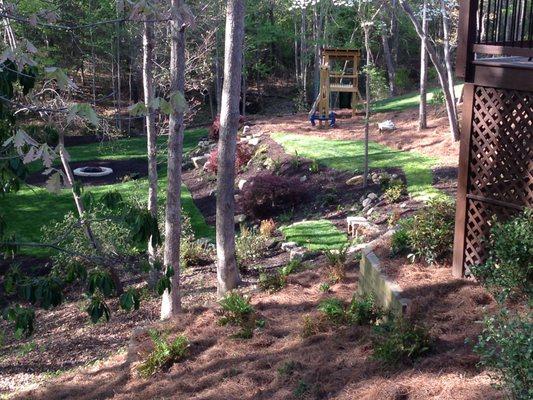 Fescue and Pinestraw/Mulch Install