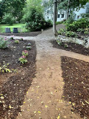 What used to be all-lawn, is now 4 new gardens, with clover-seeded paths between. No more mowing this section, and lots for bees to love!