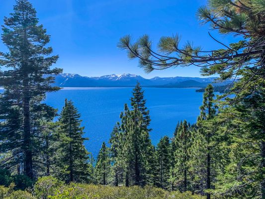 A view from a hike in Lake Tahoe