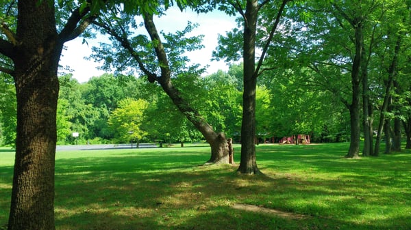 View from direction of parking lot behind the library