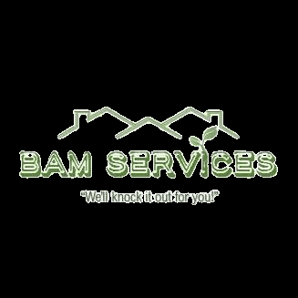 BAM services