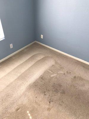 Carpet cleaning (heavy soil)