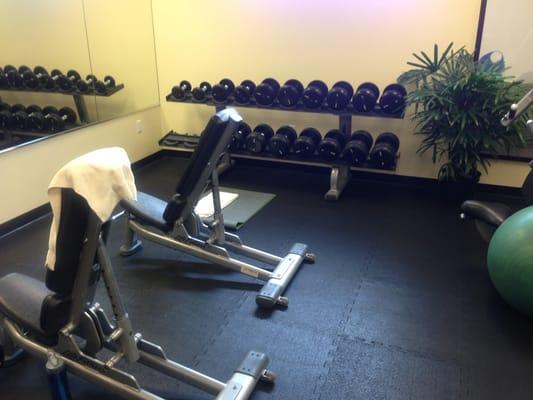 Two adjusting benches with dumbells up to 50lb plus 3 stability balls