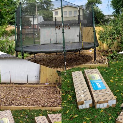 Acon 14' Trampoline