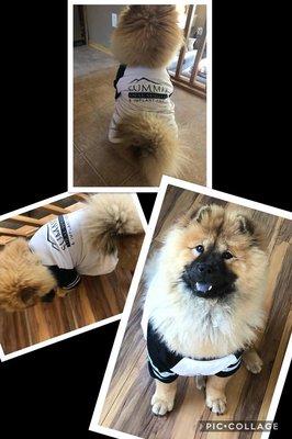 Our Mascot Ki!! Doesn't she look amazing in her Summit gear?