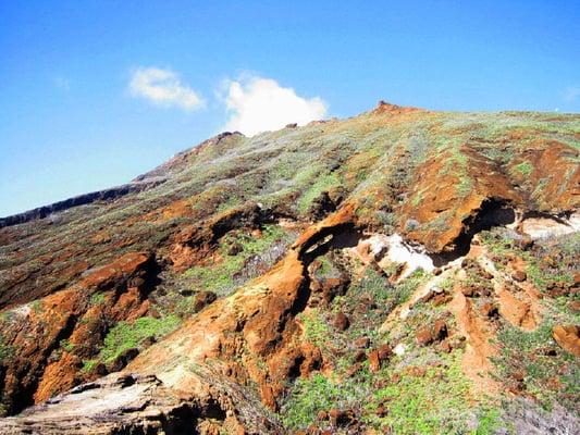 The trail from the Blowhole parking lot