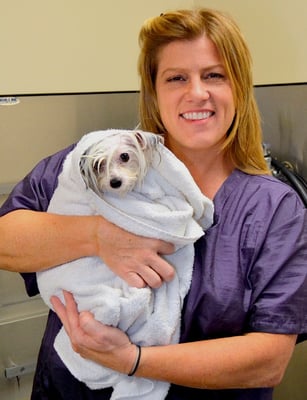 Our professional groomer, Kim with her client, Diva.